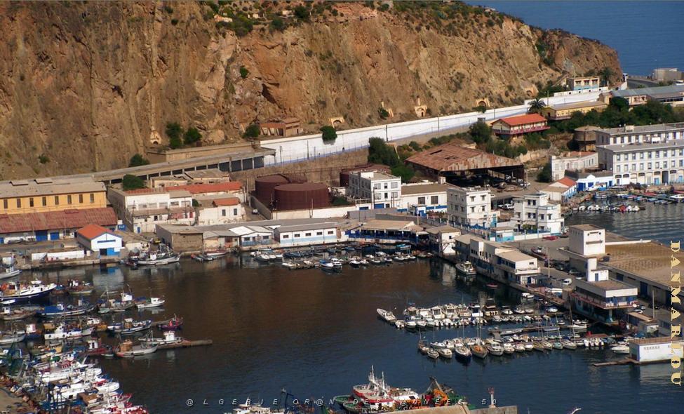 oran port de plaisance .jpg